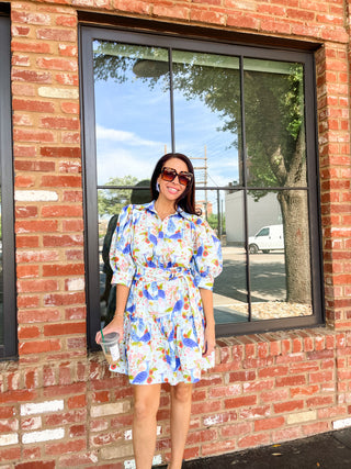 Spring Garden Peacock Mini Dress - Multi-K. Ellis Boutique