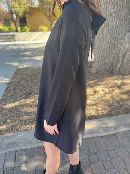 Blaine Ruffle Long Sleeve Mini Dress- Black-K. Ellis Boutique