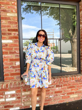 Spring Garden Peacock Mini Dress - Multi-K. Ellis Boutique