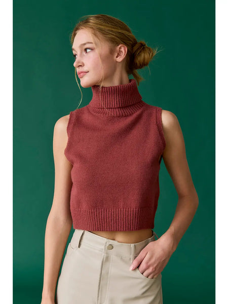 Alice Turtle Neck Knit Top- Berry-K. Ellis Boutique