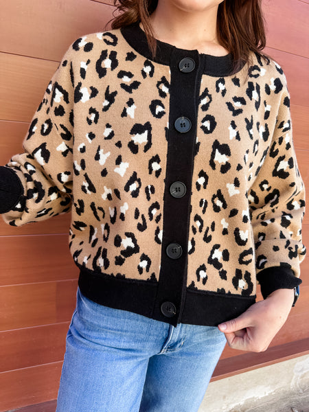 Leopard Contrast Knit Cardigan-K. Ellis Boutique